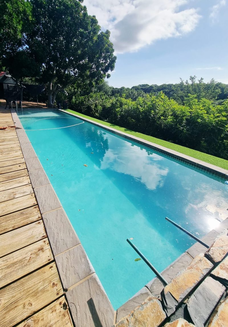 A long lap pool with a timber deck surround beside mature trees.